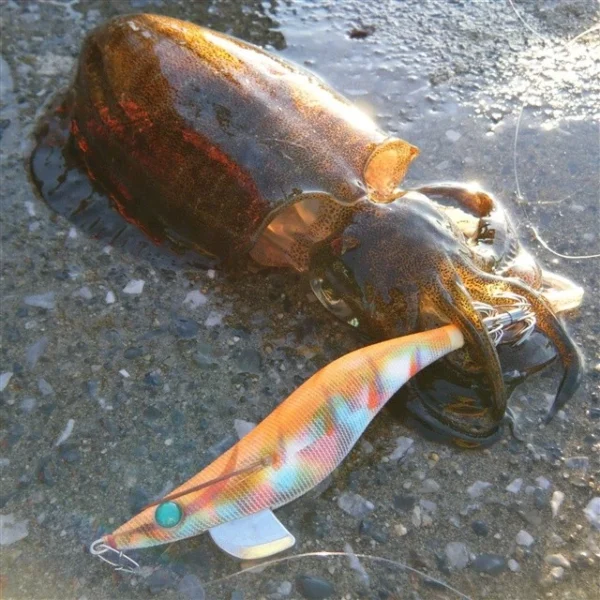 sg-11134201-81zu1-mmwzw97rtgjscd.webp Shrimp Fishing YAMASHITA SUTTE